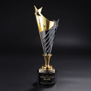 Metal Star Pillar Crystal Awards-0122