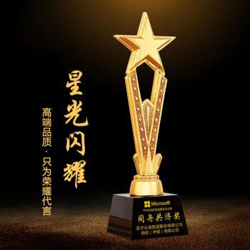 Resin Stars Crystal Awards-0213
