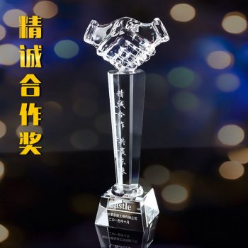 Crystal handshaking Awards-0220