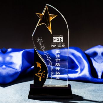 Stars Crystal Awards-0059