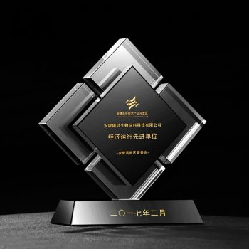 Square cubes Crystal Awards-0076