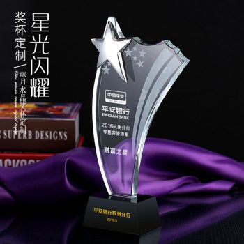 Metal star on Crystal Flag Awards-0096