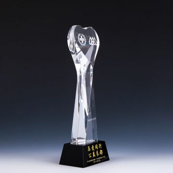 Crystal heart Pillar Awards-0114